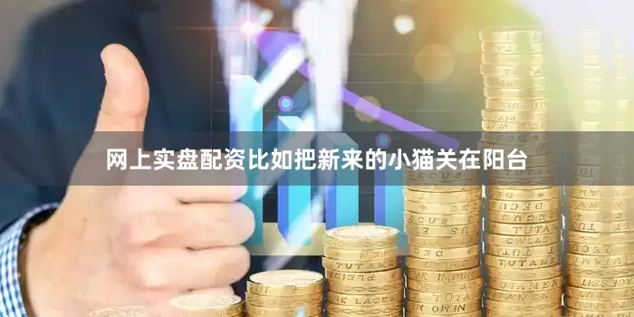 网上实盘配资比如把新来的小猫关在阳台