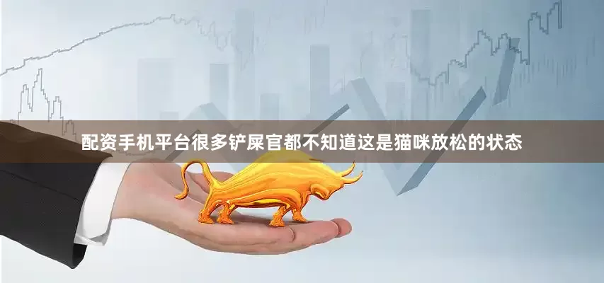 配资手机平台很多铲屎官都不知道这是猫咪放松的状态