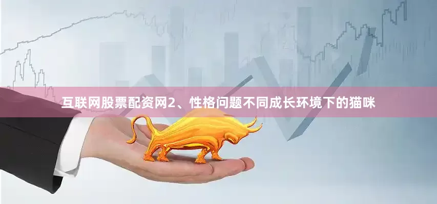 互联网股票配资网2、性格问题不同成长环境下的猫咪